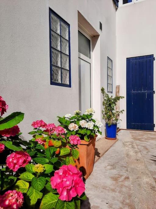 Le Studio D'En O, Au Coeur De La Haute Ville De Pornic. Dış mekan fotoğraf